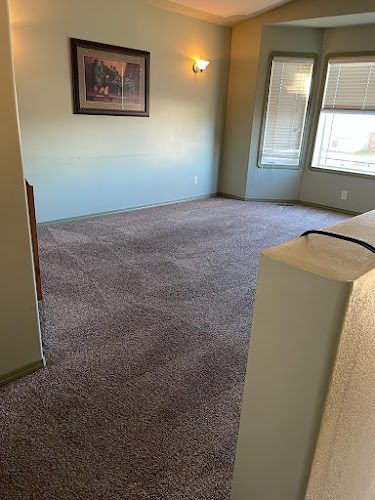 Premium Carpet Cleaning