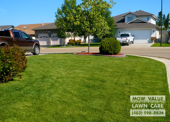 MOW VALUE LAWN CARE