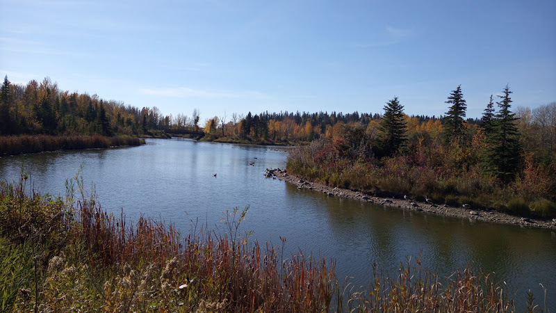 Mackenzie Trails Bench Trail